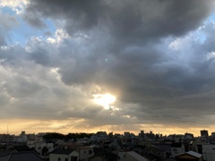 IMG_4851