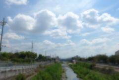 ソフトフォーカス過剰 (7)