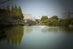 池のある風景