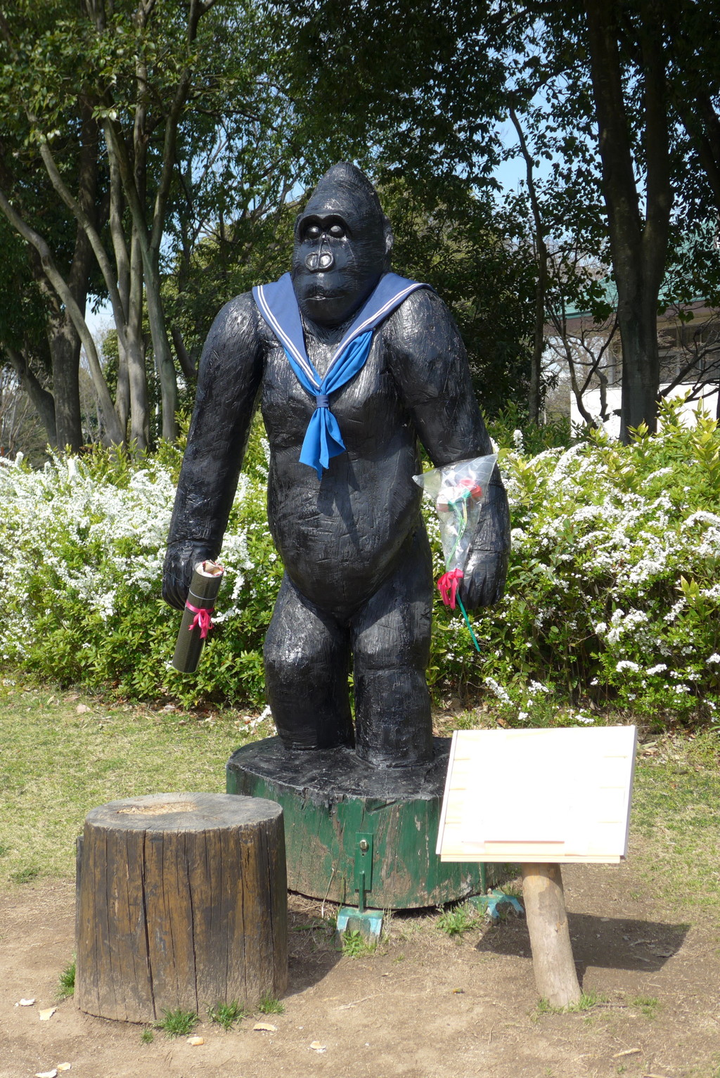 ゴリラ (1)