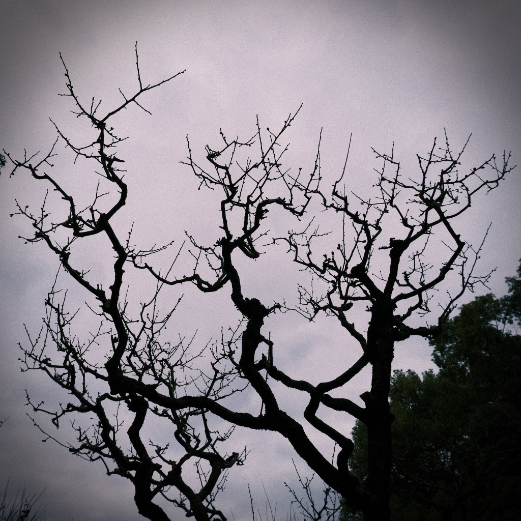 DSCF3935