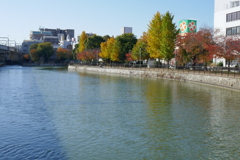 P1060790