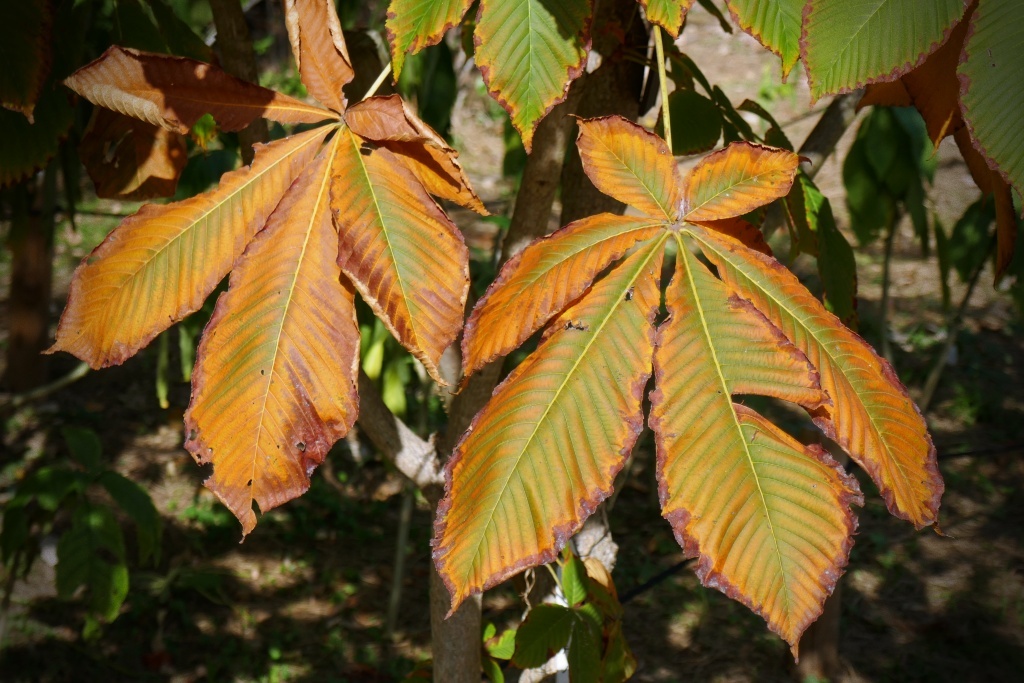 P1300304