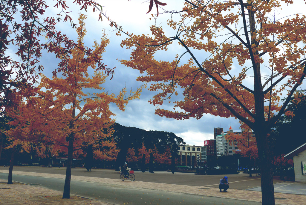 公園3