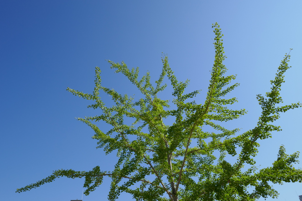 P1010410