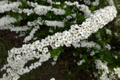 P1320681