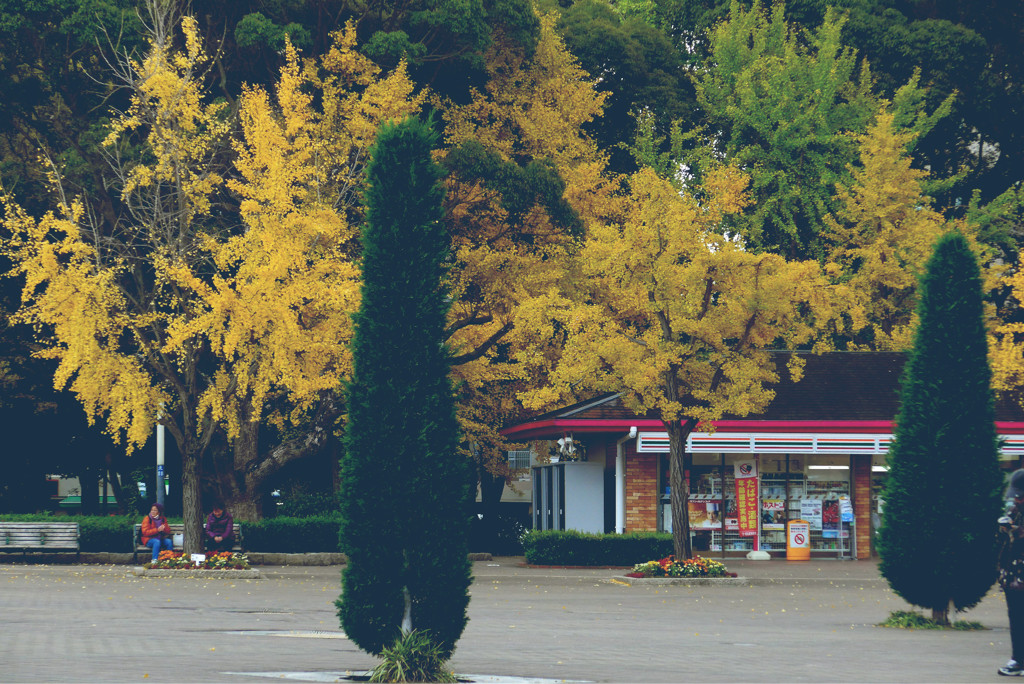 公園6