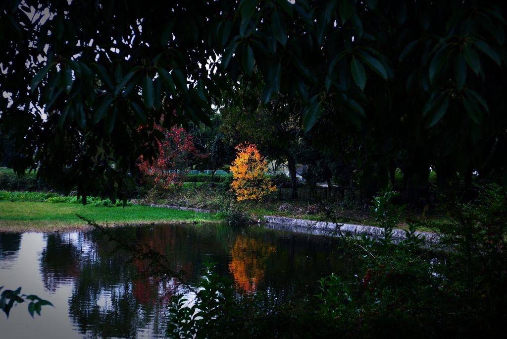 ひっそりと紅葉