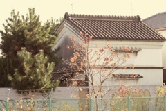 P1170308