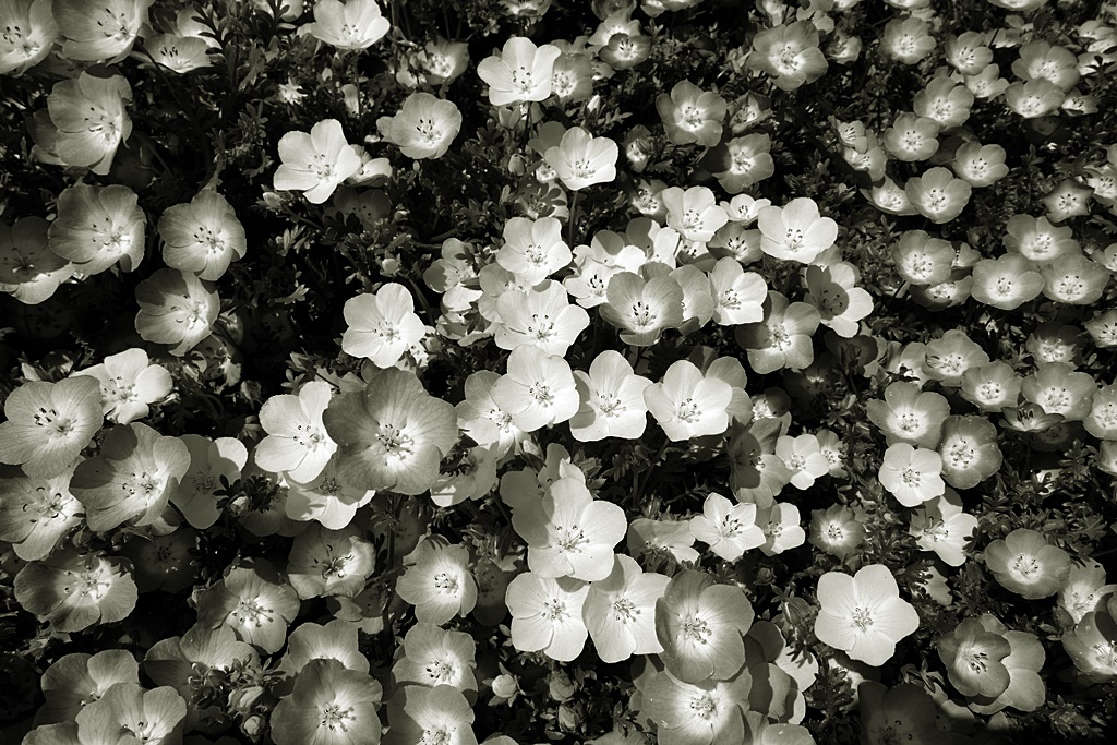 P1200276