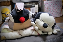 DSCF2068