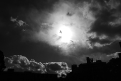 P1160919