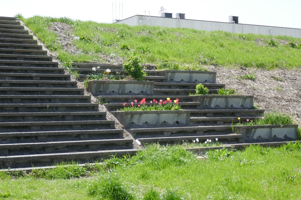 P1190490