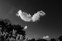 P1310066