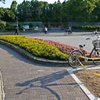 P1010563
