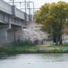 春の釣り人2