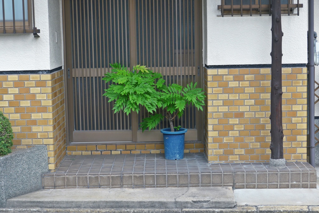 P1400172