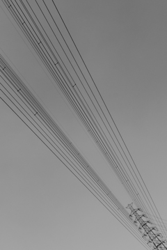 P1190792