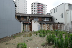 P1010703