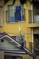 P1090193