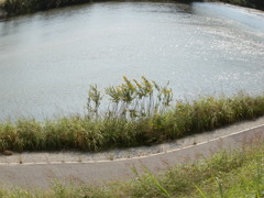PA190019