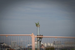 P1160086