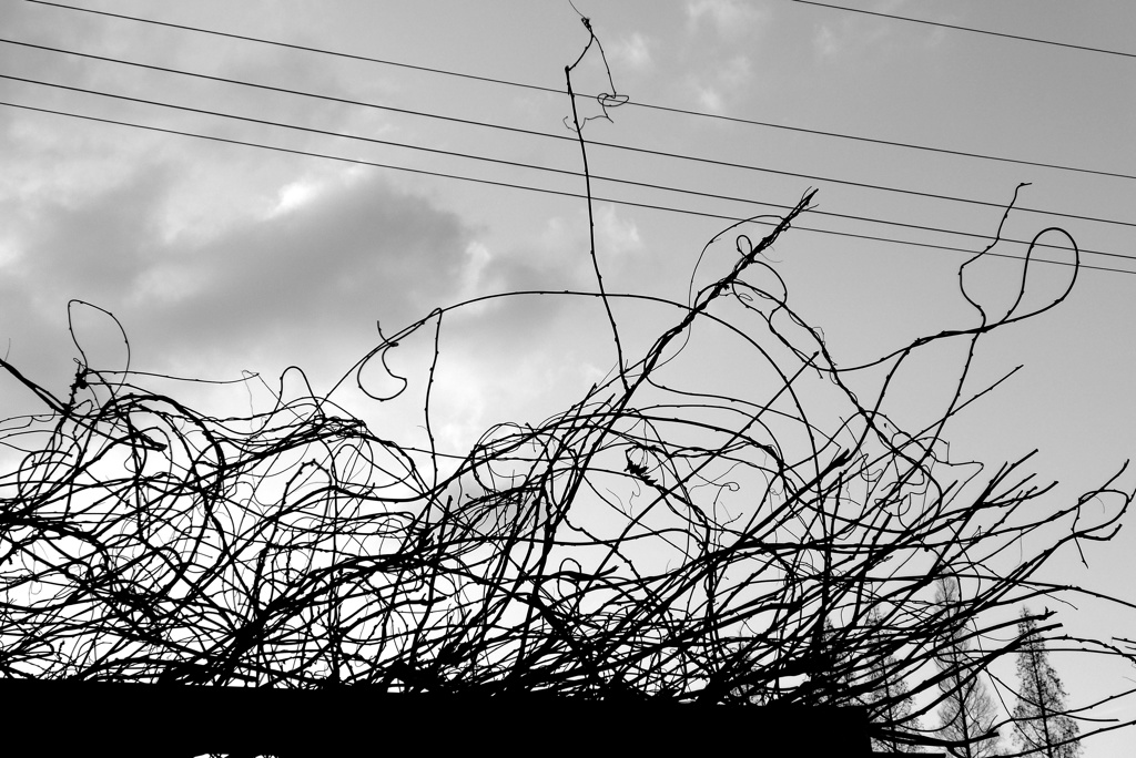 ビヨヨォ～ン (8)