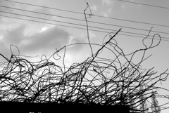 ビヨヨォ～ン (8)