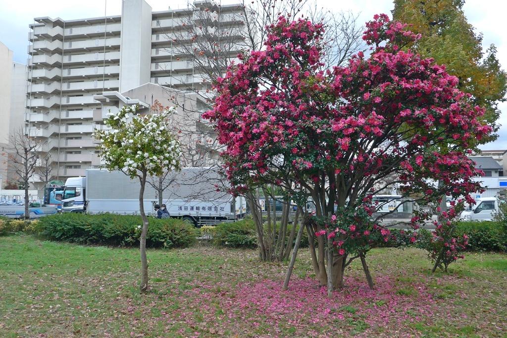 P1410020