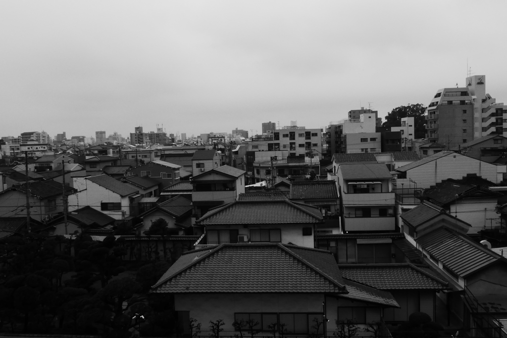 P1170599