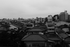 P1170599