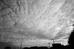雲