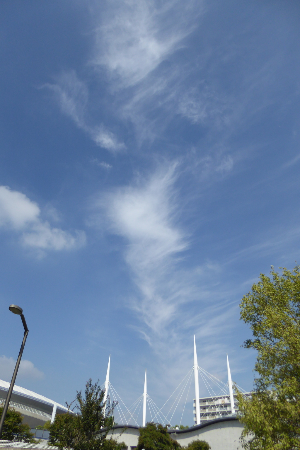 雲