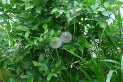 P1340502