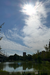 秋空 (5)