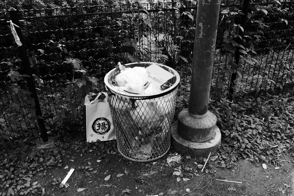 そっと寄り添う「揚」