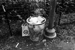 そっと寄り添う「揚」