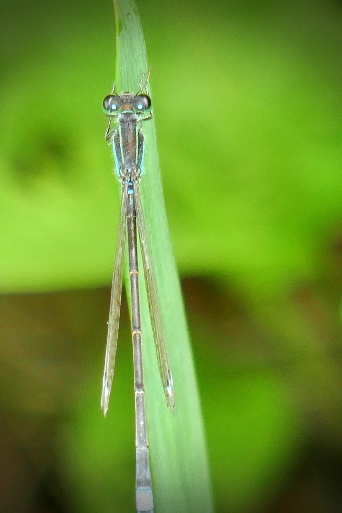 P1290200