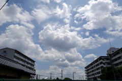 P1010265