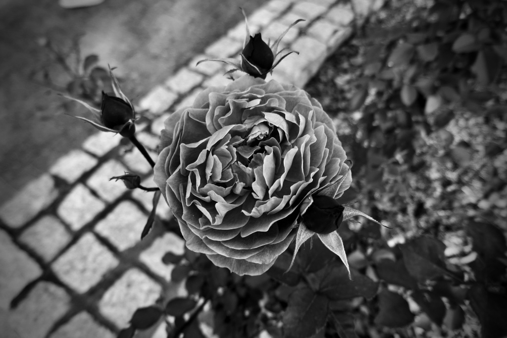 P1300437