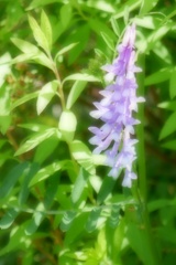 P1200763