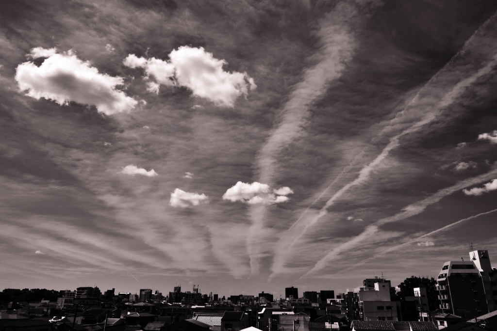 P1290884