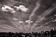 P1290884