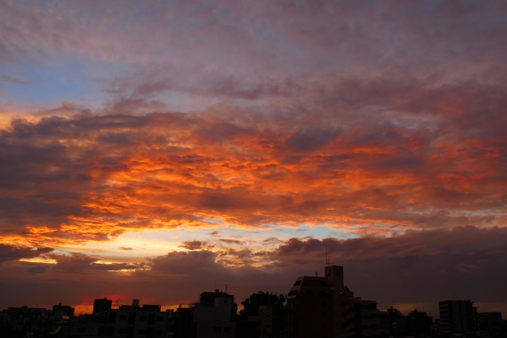 P1260343