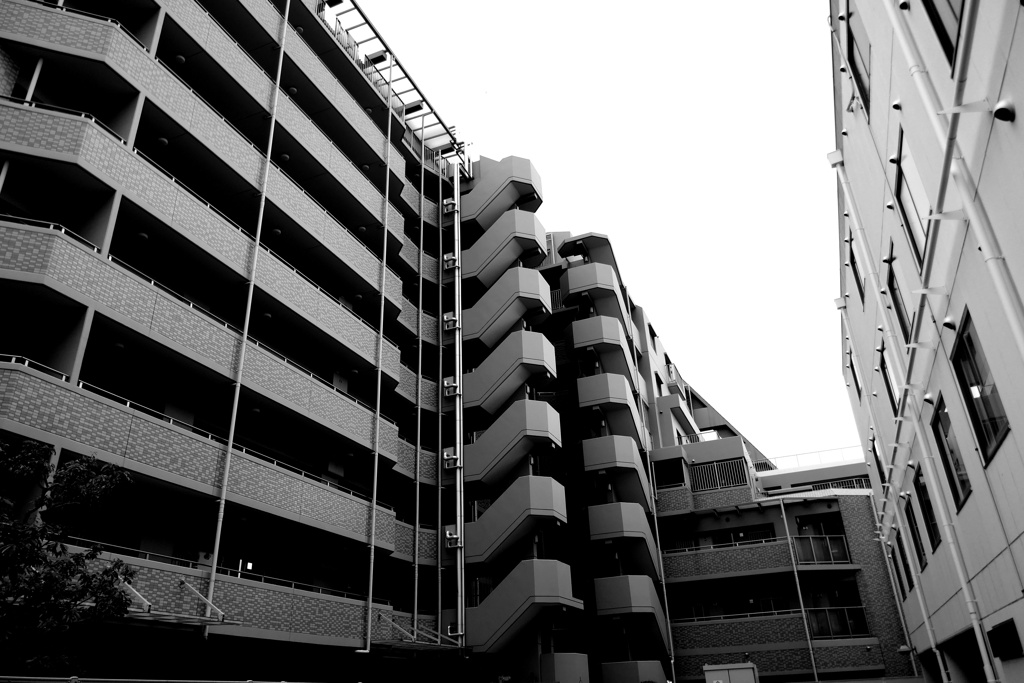 P1070288