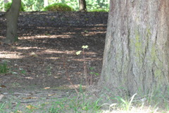 P1400170