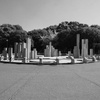 DSCF5516