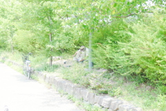 P1000990