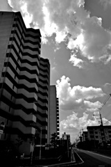 P1010253