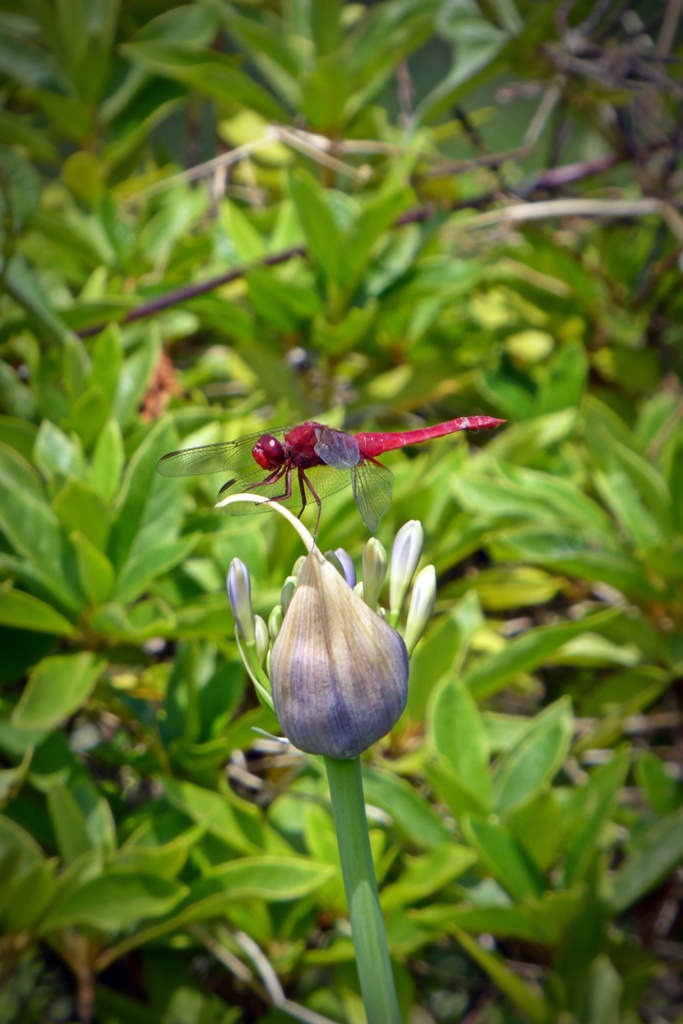 P1090483